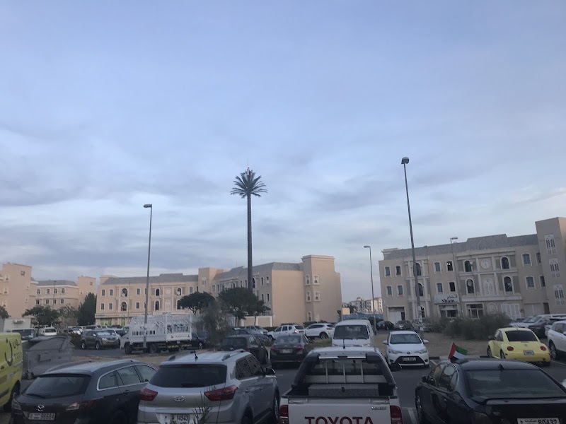 Al Barsha Government Services — Personal Services in Dubai, Al barsha - Image 5
