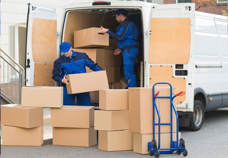 ServiceMarket — Home Services in Dubai, Jumeirah - Image 5