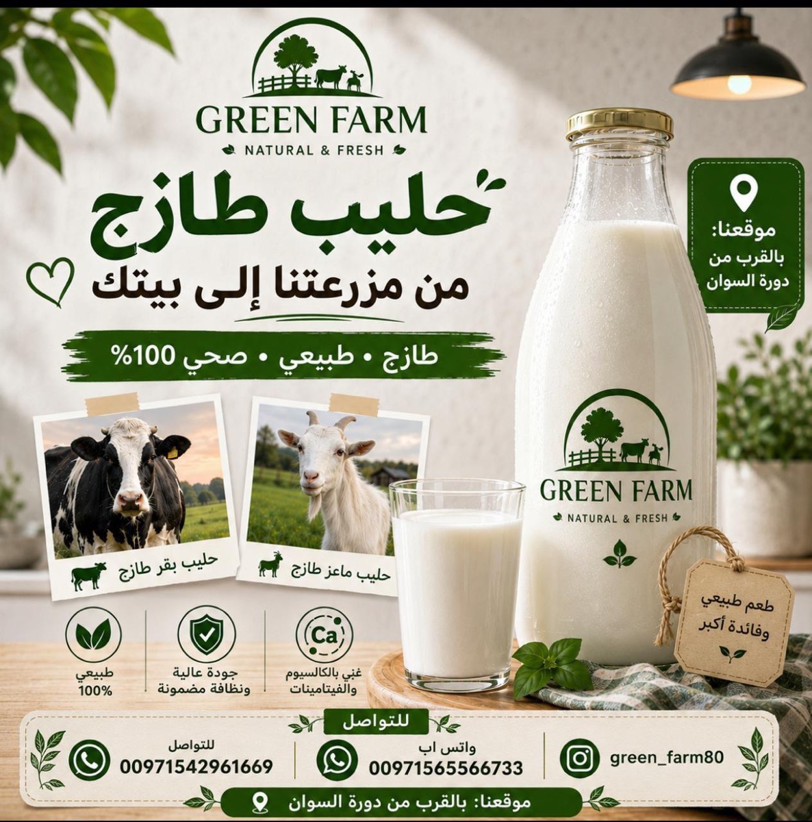 راس الخيمه 