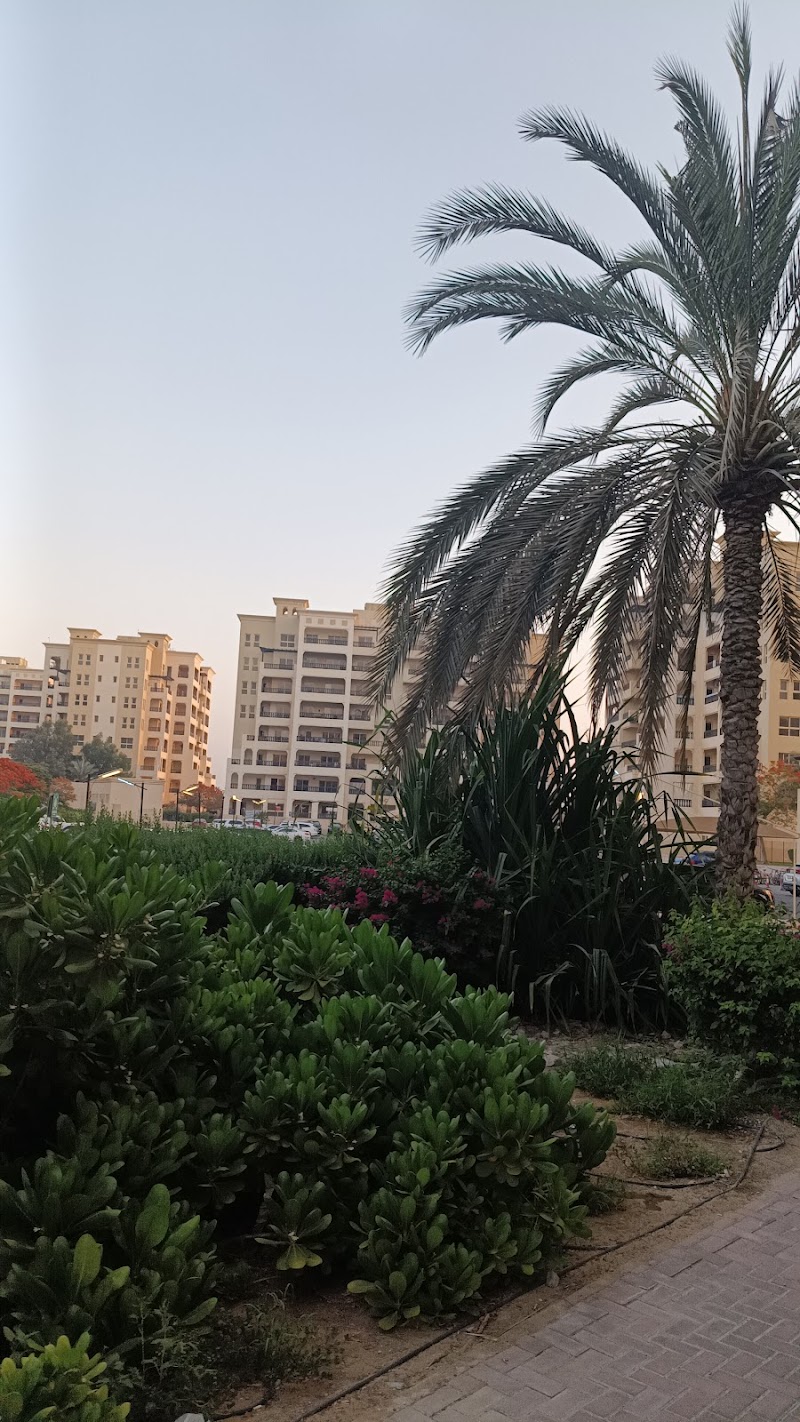 Marina Residences - Al Hamra Village — Property for Rent in al hamra village - Image 4