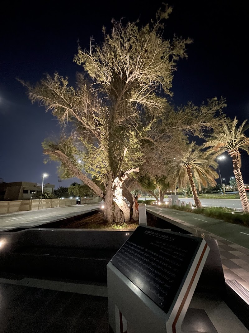 Al Bateen Park — Property for Rent in al bateen - Image 5