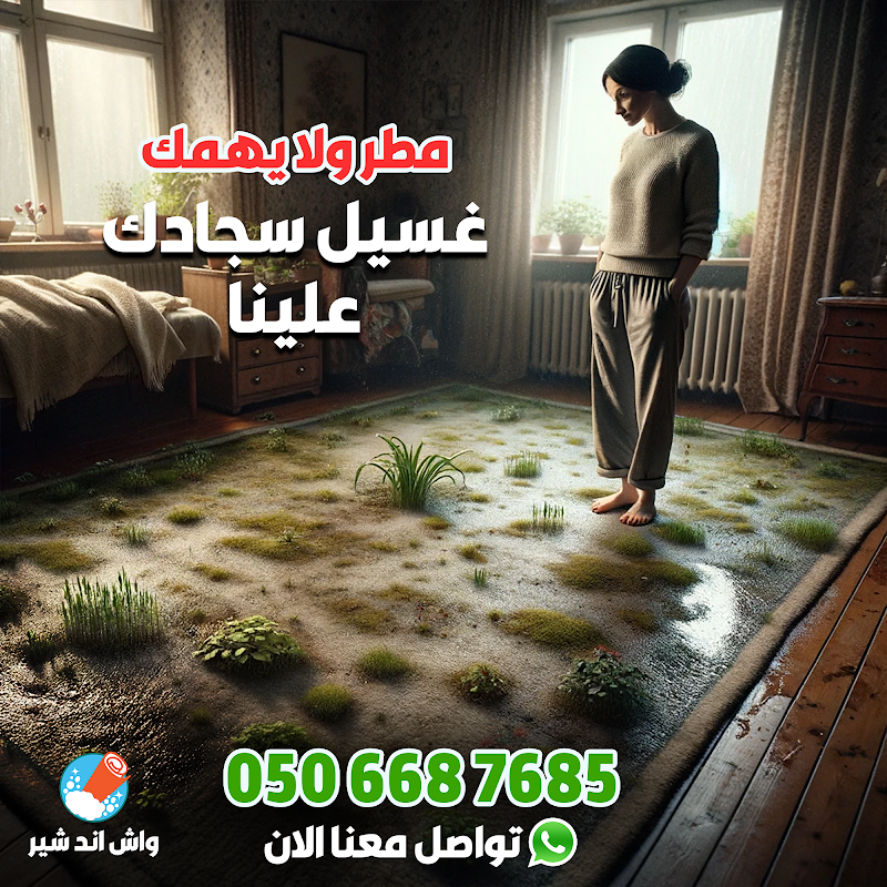 Wash and Share Carpet Wash and Cleaning Services — Laundry Services in Al ain - Image 2