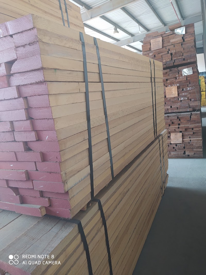 Madar Emirates for Building Materials — Wood Plywood Mdf Sheets in Sharjah, Al Nahda - Image 5