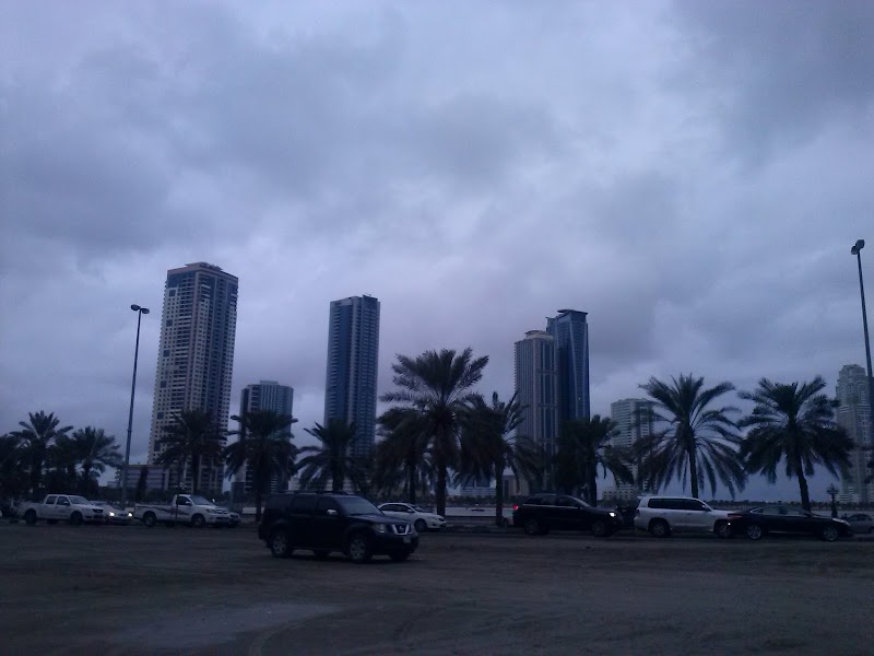 Tiger 3 Altawwon — Apartments For Rent in Sharjah, Al Taawun - Image 5