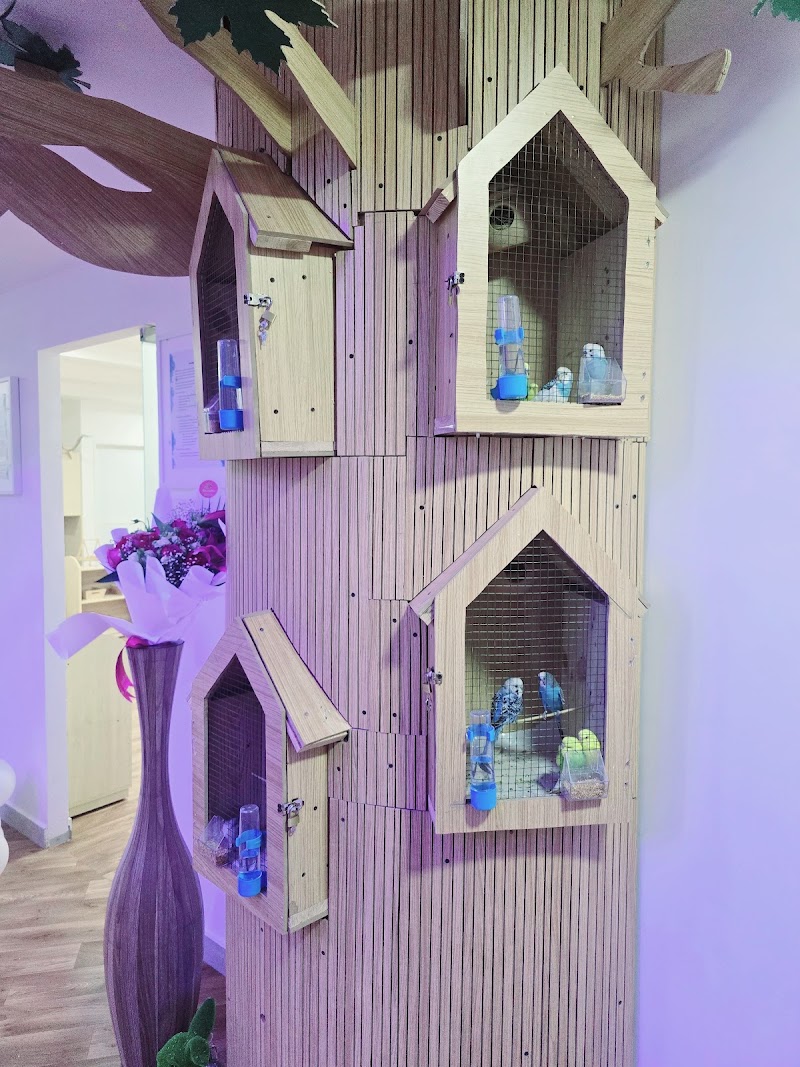 Daffodils Nursery, Al Taawun, Sharjah — Personal Services in Sharjah, Al Taawun - Image 5